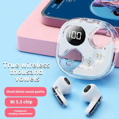Digital 5.3 Apro 138 Transparent Earbuds
